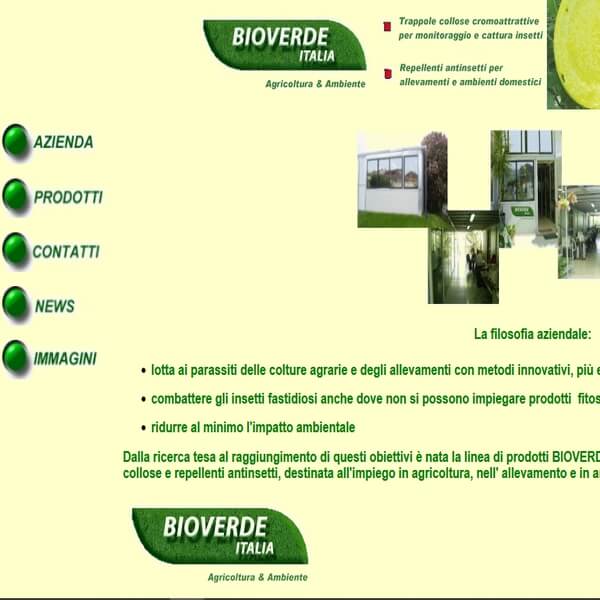 web agency